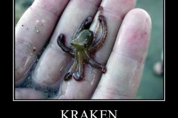 Kraken com darknet