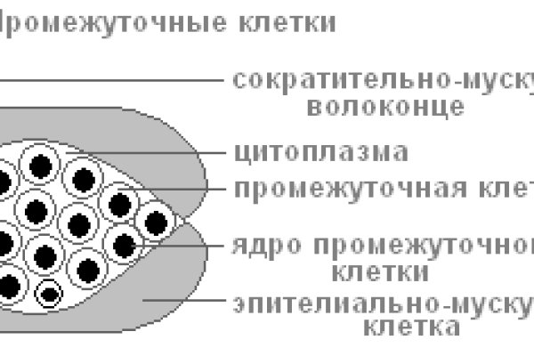 Кракен аватарка маркетплейс