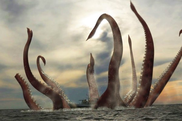 Kraken рабочий